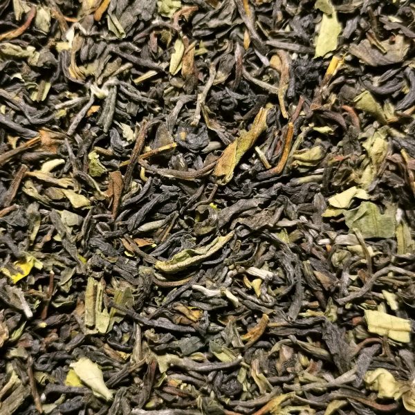 darjeeling Himalaya